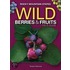 Wild Berries & Fruits Field Gd