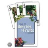 Wild Berries Of The Midwest Pl door Teresa Marrone