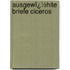 Ausgewï¿½Hlte Briefe Ciceros