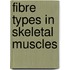 Fibre Types in Skeletal Muscles