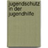 Jugendschutz in Der Jugendhilfe