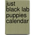 Just Black Lab Puppies Calendar