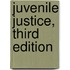 Juvenile Justice, Third Edition