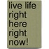 Live Life Right Here Right Now!