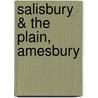 Salisbury & The Plain, Amesbury door Ordnance Survey