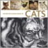 The British Museum Book Of Cats