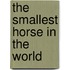 The Smallest Horse in the World