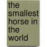 The Smallest Horse in the World by Jeremy Strong