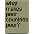 What Makes Poor Countries Poor?