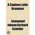A Copious Latin Grammar Volume 2