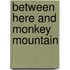 Between Here and Monkey Mountain