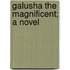 Galusha the Magnificent; A Novel