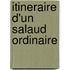 Itineraire D'un Salaud Ordinaire