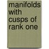 Manifolds with Cusps of Rank One
