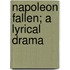 Napoleon Fallen; A Lyrical Drama