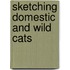 Sketching Domestic And Wild Cats