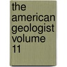 The American Geologist Volume 11 door Newton Horace Winchell