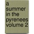 A Summer in the Pyrenees Volume 2