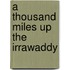 A Thousand Miles Up the Irrawaddy