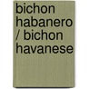Bichon Habanero / Bichon Havanese door Zoila Portuondo