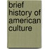 Brief History of American Culture