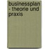 Businessplan - Theorie und Praxis