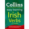 Collins Easy Learning Irish Verbs door Dr A.J. Hughes