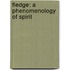 Fledge: A Phenomenology Of Spirit