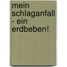 Mein Schlaganfall - ein Erdbeben! by Edeltraud Minor