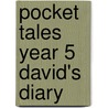Pocket Tales Year 5 David's Diary door Margaret Ryan