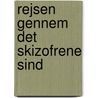Rejsen gennem det skizofrene sind door René Buelund