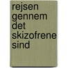 Rejsen gennem det skizofrene sind by René Buelund