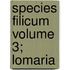 Species Filicum Volume 3; Lomaria