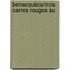 Benacquista/Trois Carres Rouges Su