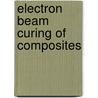 Electron Beam Curing Of Composites by Volker Altstädt