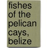Fishes Of The Pelican Cays, Belize by United States Government