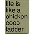 Life Is Like a Chicken Coop Ladder