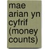 Mae Arian Yn Cyfrif (Money Counts)