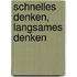 Schnelles Denken, Langsames Denken