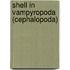 Shell In Vampyropoda (Cephalopoda)