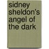 Sidney Sheldon's Angel of the Dark