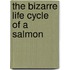 The Bizarre Life Cycle of a Salmon