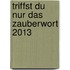 Triffst du nur das Zauberwort 2013