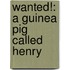 Wanted!: A Guinea Pig Called Henry