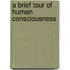 A Brief Tour Of Human Consciousness