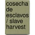 Cosecha de esclavos / Slave Harvest