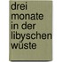 Drei Monate In Der Libyschen Wüste