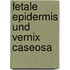 Fetale Epidermis Und Vernix Caseosa