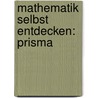 Mathematik Selbst Entdecken: Prisma door Kerstin Neumann
