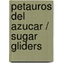 Petauros Del Azucar / Sugar Gliders